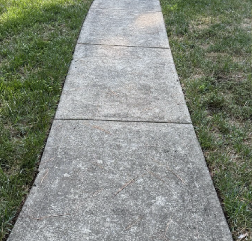 Before and after Concrete Cleaning